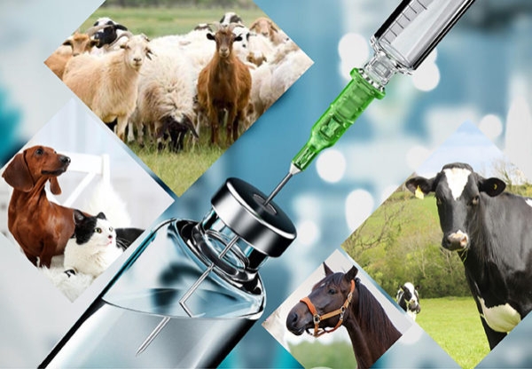VECTA VETERINARY